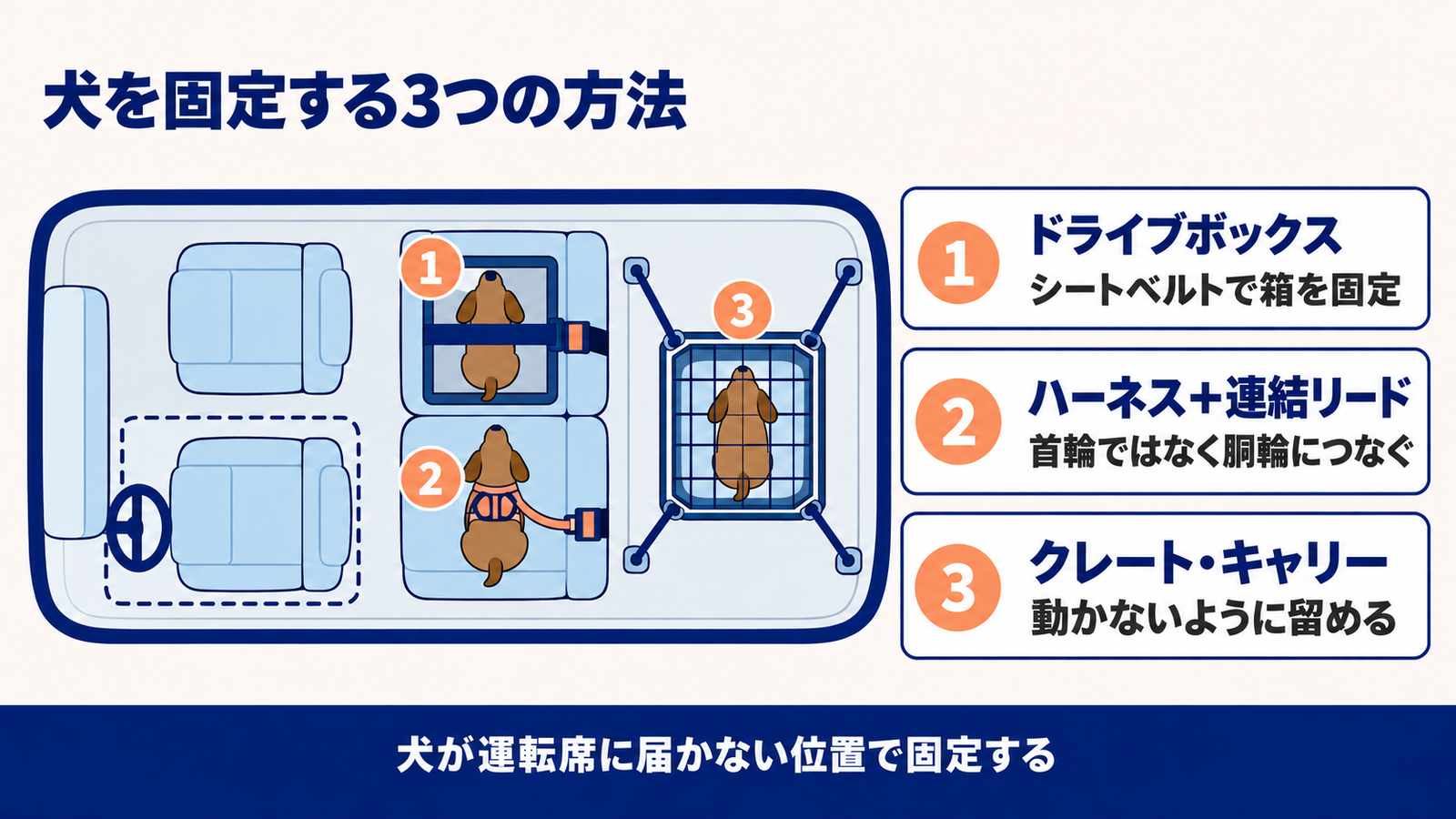 座席のドライブボックス、ハーネスと連結リード、ベルトで留めたクレートの3つの固定方法を並べた図