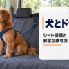 ミニバンの後席で防水シートカバーに座り窓の外を見るハーネス姿の小型犬