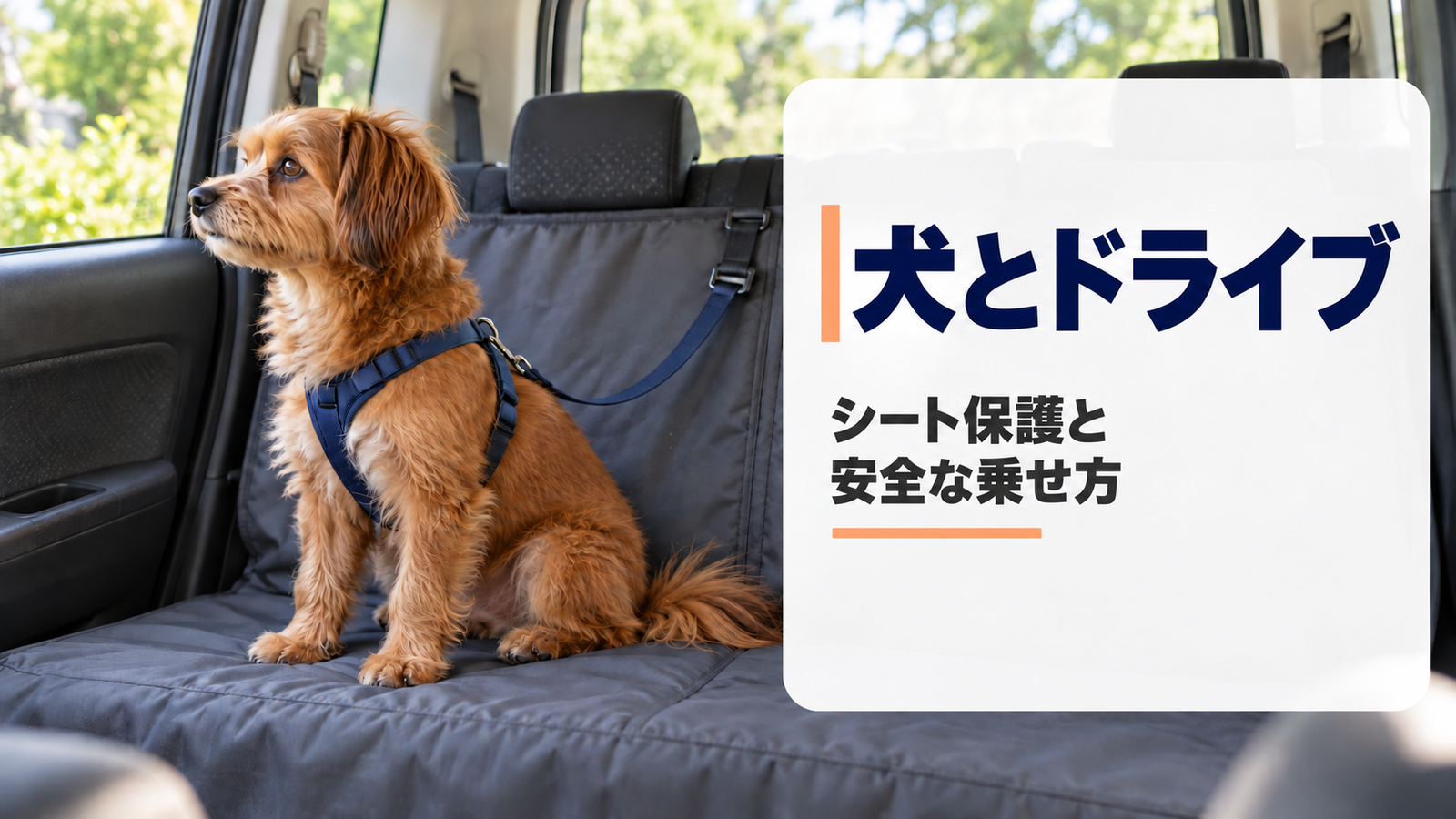 ミニバンの後席で防水シートカバーに座り窓の外を見るハーネス姿の小型犬